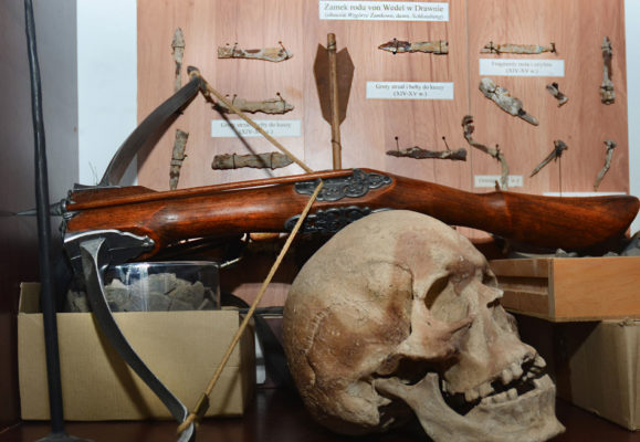 czaszka i broń, zbiory znajdujące się w Muzeum Ziemi Choszczeńskiej